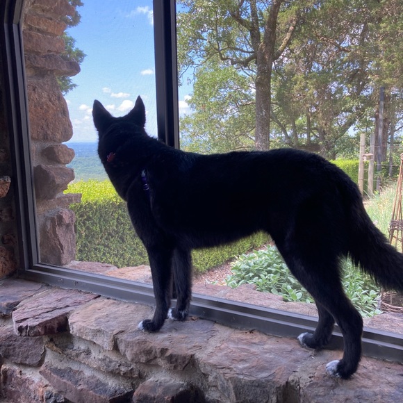 Meet your Posher, Katarina - Picture 1 of 1